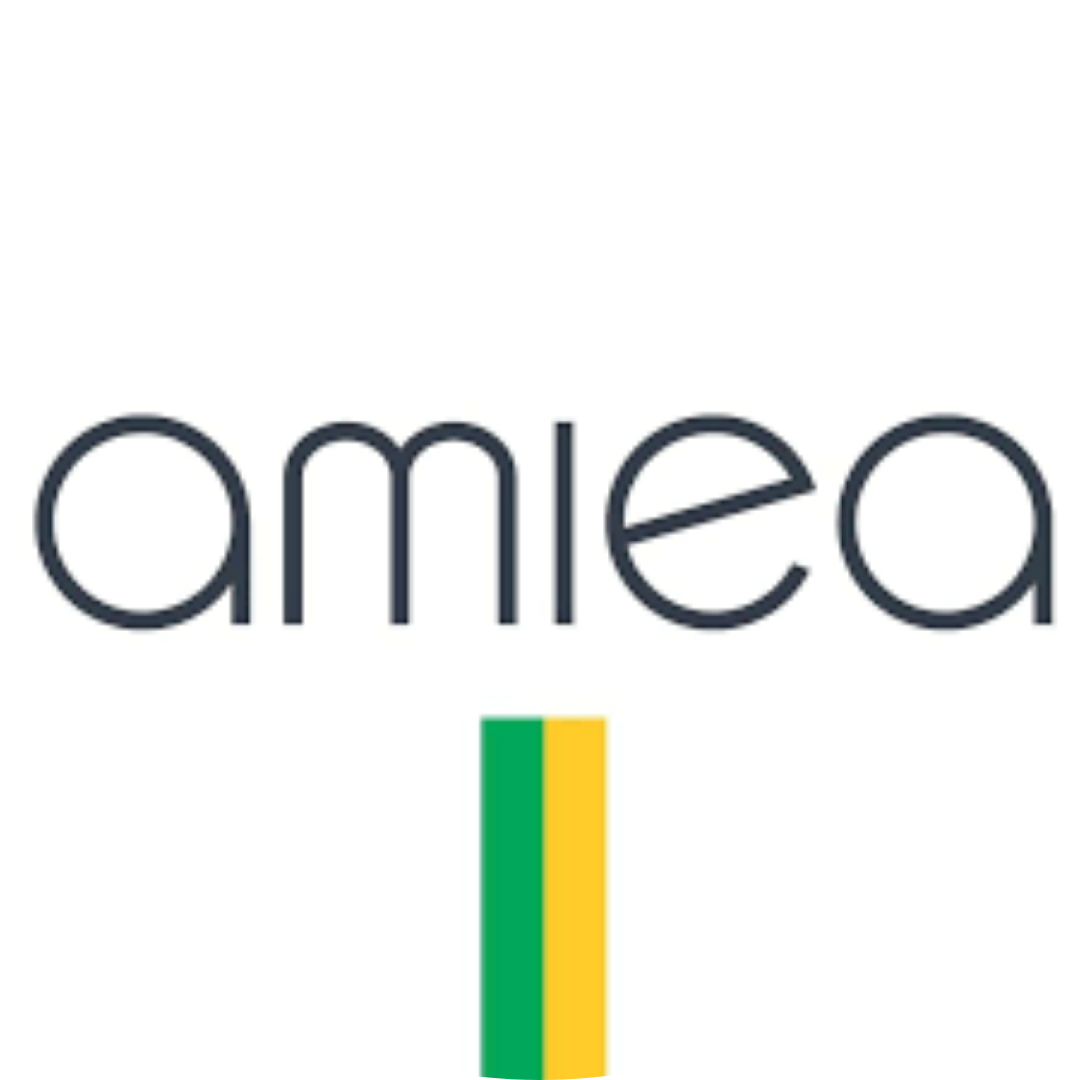 Amiea Brasil